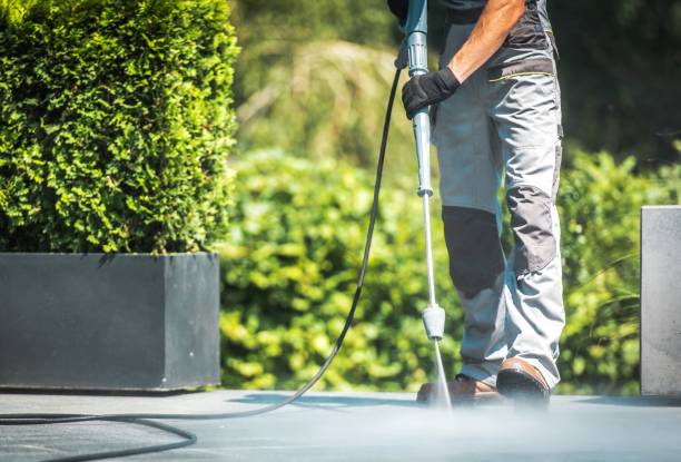 Best Graffiti Removal  in Robinwood, MD
