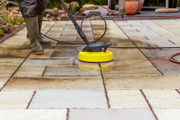 Best Fence Cleaning  in Robinwood, MD