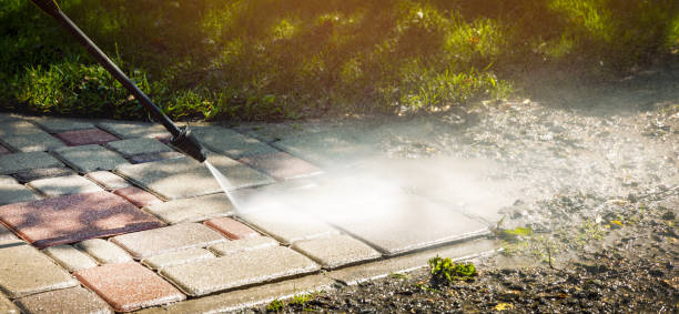 Solar Panel Cleaning in Robinwood, MD